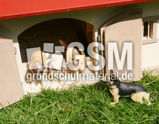 Hunde-3+1.jpg